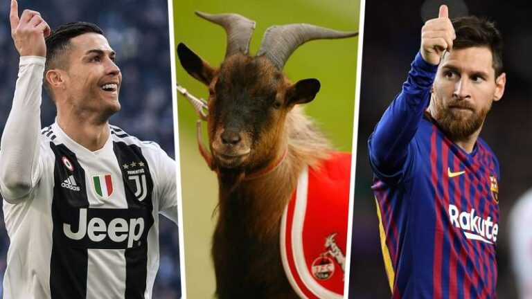 Goat Trong Bóng Đá Là Gì? Khái Niệm Và Ý Nghĩa Vĩ Đại 54 Goat Trong Bóng Đá Là Gì? Khái Niệm Và Ý Nghĩa Vĩ Đại